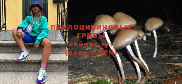 таблы Алексин