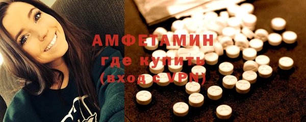 сатива Няндома