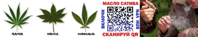купить закладку  Моздок  ТГК жижа 