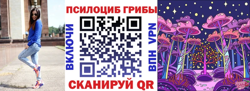 Псилоцибиновые грибы Psilocybe  blacksprut ссылка  Моздок 
