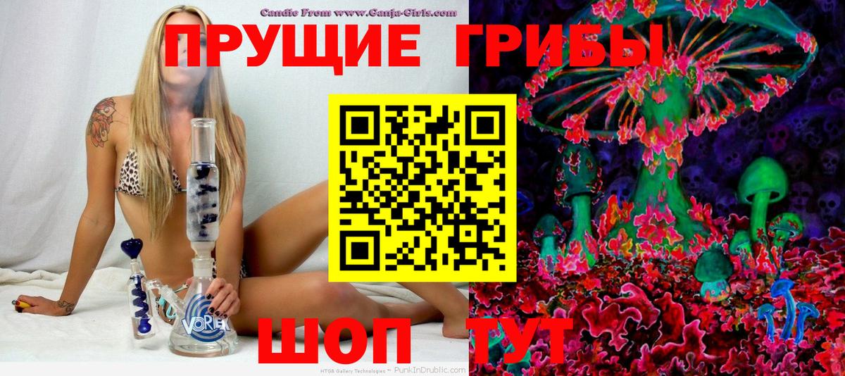 Псилоцибиновые грибы Psilocybe  Вход с VPN  Моздок 