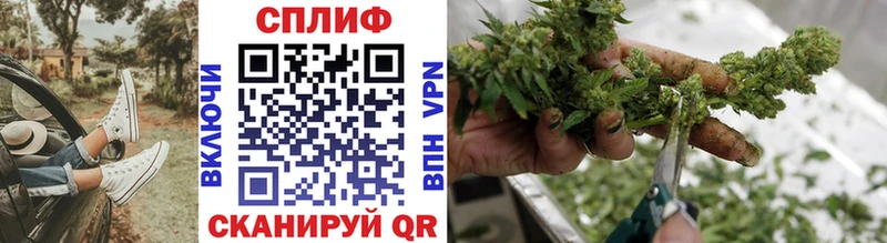 Бошки Шишки White Widow  Моздок 
